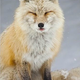 Image for article titled Nature Photos That Will Rock Your World
